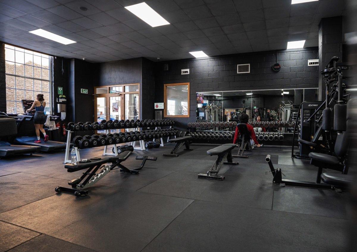 ABOUT HALO & IMAGE GALLERY